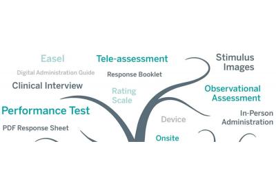 17 Assessment Terms and What They Mean
