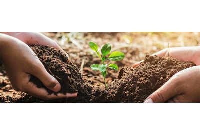 Teacher with a student helping plant a small tree in garden.