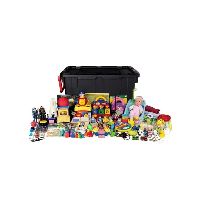 (ADOS™-2) Autism Diagnostic Observation Schedule™, Second Edition