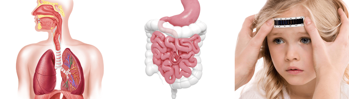 Balance and Movement Senses - Depictions of the body's internal visceral, homeostatic, and somatic signals