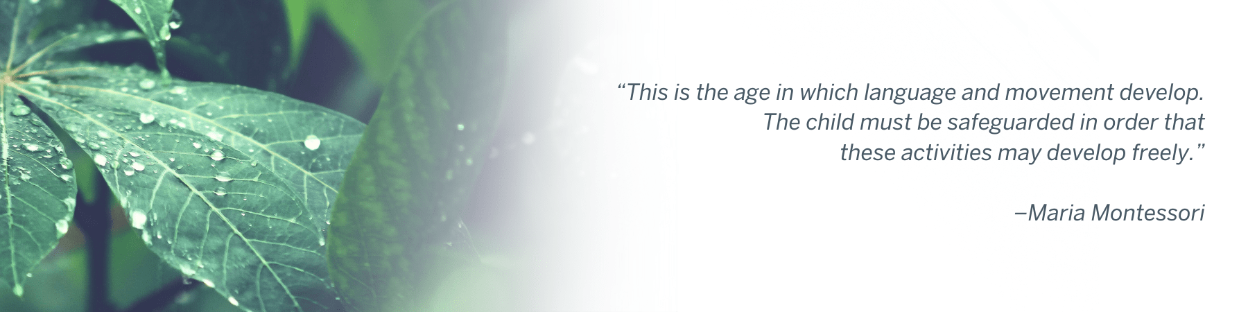 “This is the age in which language and movement develop. The child must be safeguarded in order that &nbsp;these activities may develop freely.” –Maria Montessori&nbsp;