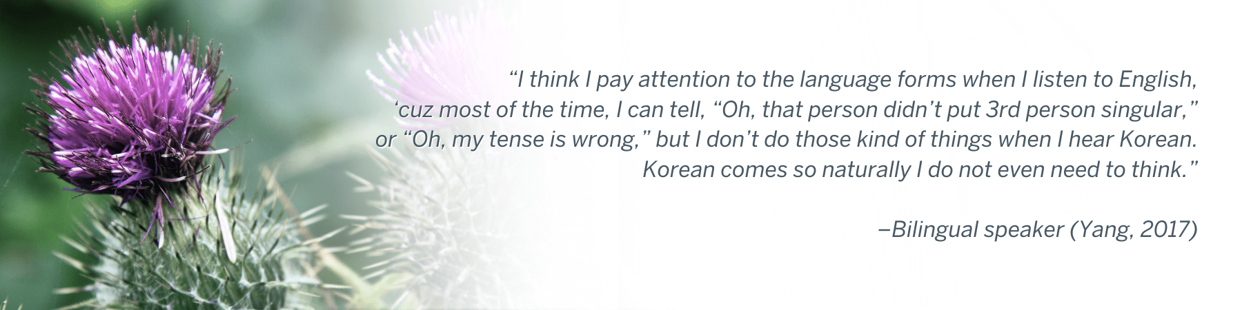 I think I pay attention to the language forms when I listen to English, ‘cuz most of the time, I can tell, “Oh, that person didn’t put 3rd person singular,” or “Oh, my tense is wrong,” but I don’t do those kind of things when I hear Korean. Korean comes so naturally I do not even need to think.” –Bilingual speaker (Yang, 2017)