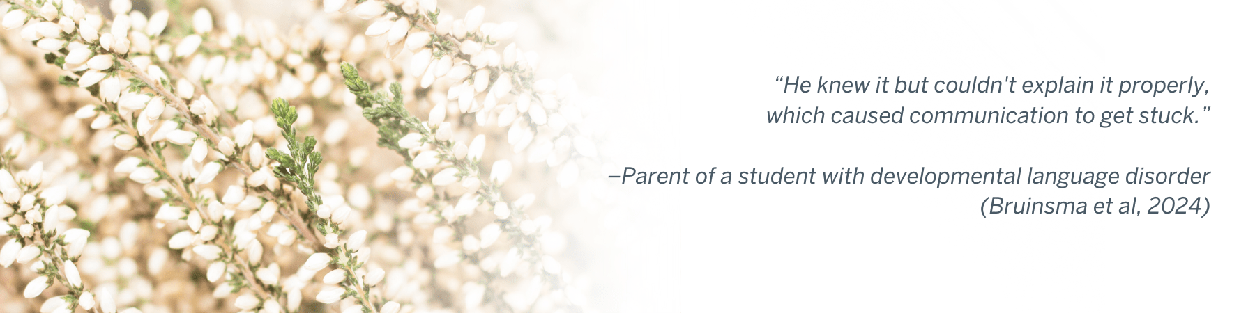 “He knew it but couldn't explain it properly, which caused communication to get stuck.” –Parent of a student with developmental language disorder (Bruinsma et al, 2024)