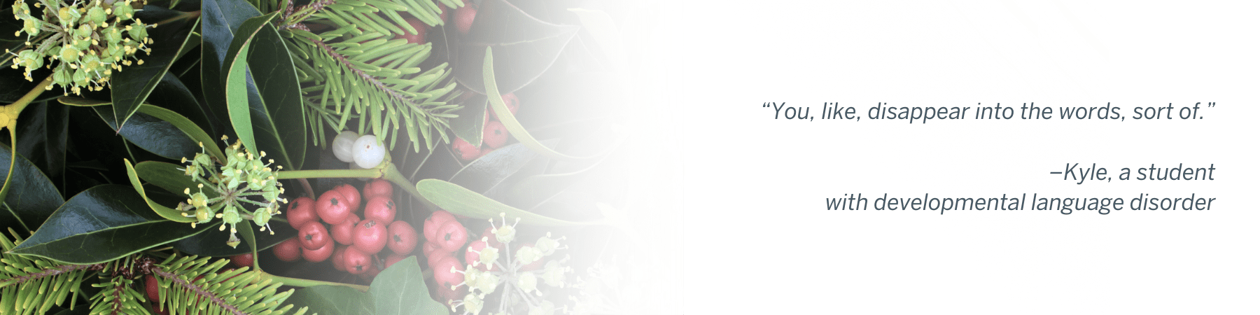 “You, like, disappear into the words, sort of.” –Kyle, a student with developmental language disorder