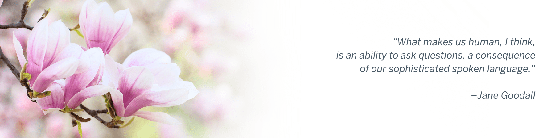 “What makes us human, I think, is an ability to ask questions, a consequence of our sophisticated spoken language.” –Jane Goodall