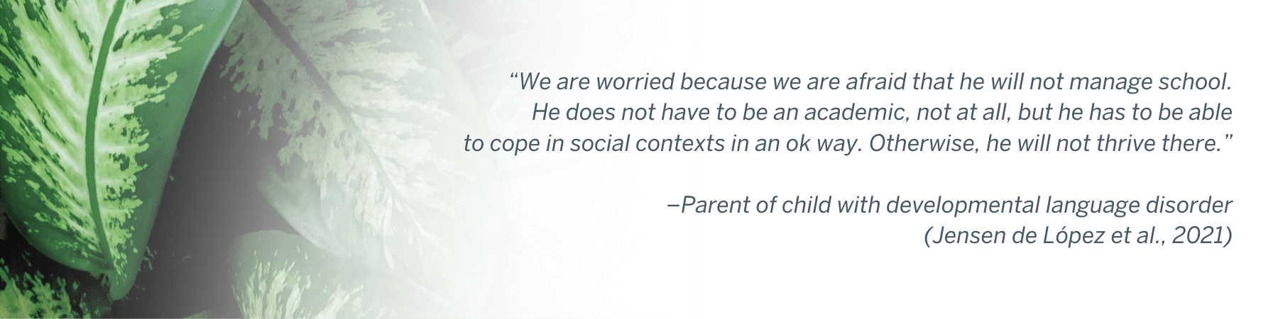 “We are worried because we are afraid that he will not manage school. He does not have to be an academic, not at all, but he has to be able to cope in social contexts in an ok way. Otherwise, he will not thrive there.” –Parent of child with developmental language disorder (Jensen de López et al., 2021)