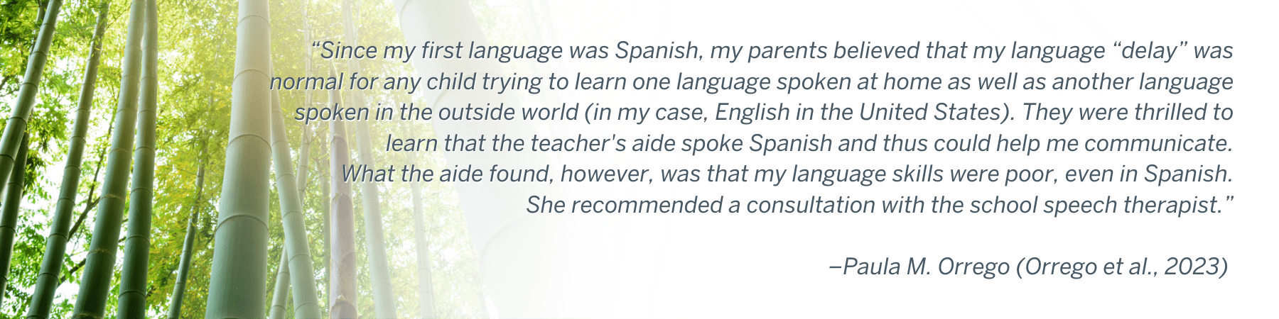 “He’s not following the coach’s instructions. He is very much ‘sit back and watch what the other kids are doing,' so he’s mimicking the other kids. He’s getting the cue from them.” –Parent of a student with DLD (Hobson & Lee, 2023)