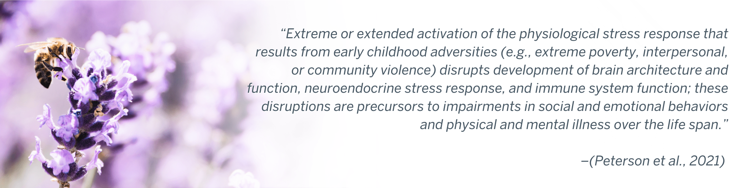 “Extreme or extended activation of the physiological stress response that results from early childhood adversities (e.g., extreme poverty, interpersonal, or community violence) disrupts development of brain architecture and function, neuroendocrine stress response, and immune system function; these disruptions are precursors to impairments in social and emotional behaviors and physical and mental illness over the life span.” (Peterson et al., 2021)